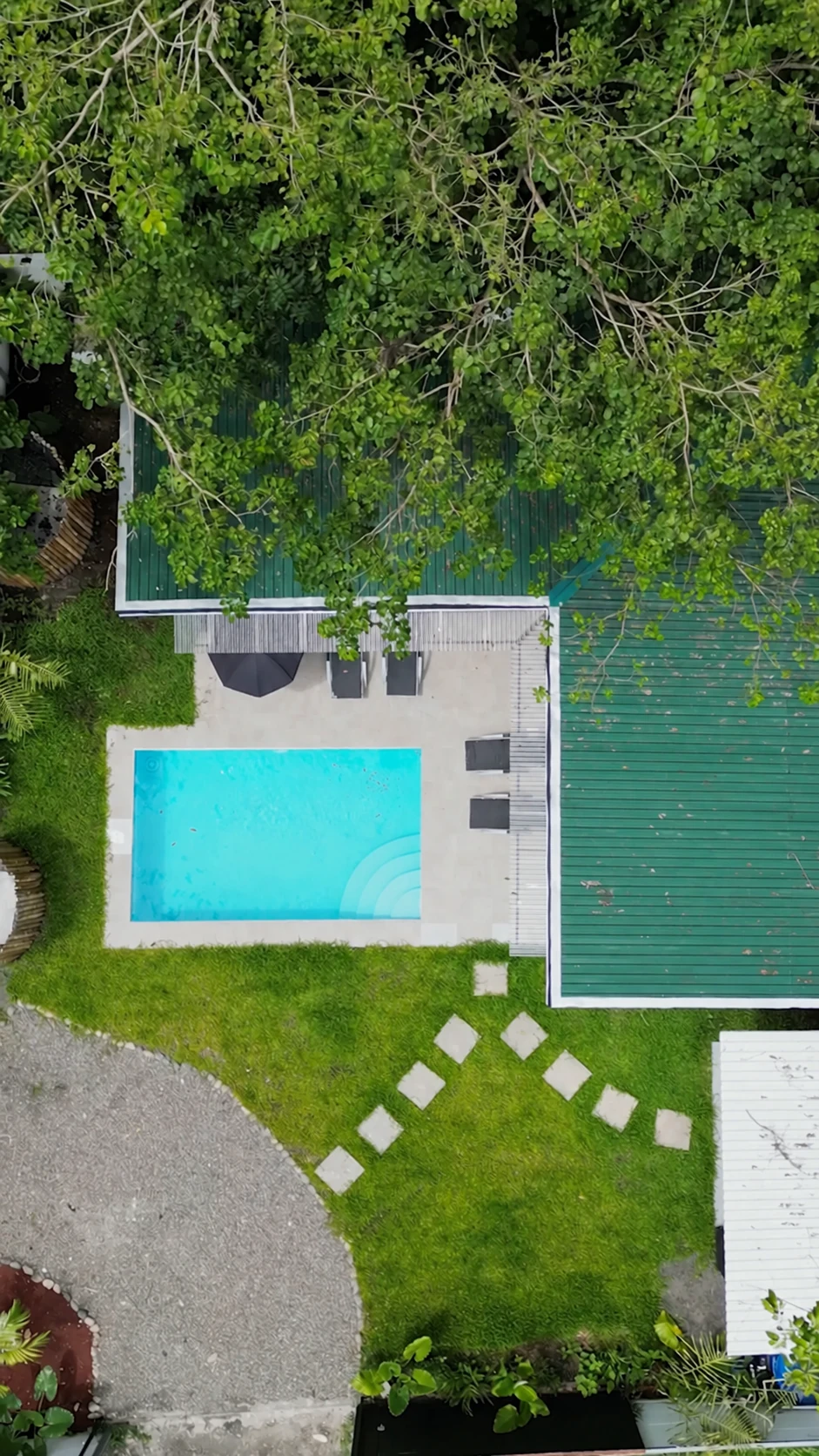 Tropical canopy above the villa and pool