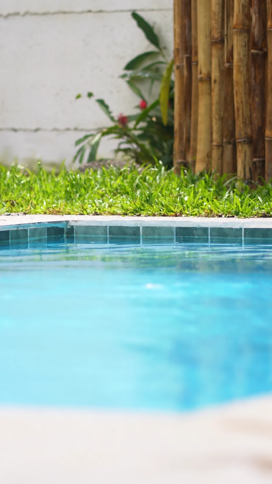 Pool water and garden detail at Villa Isora